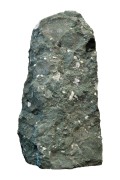 verde-salvan-gespalten-jogerst
