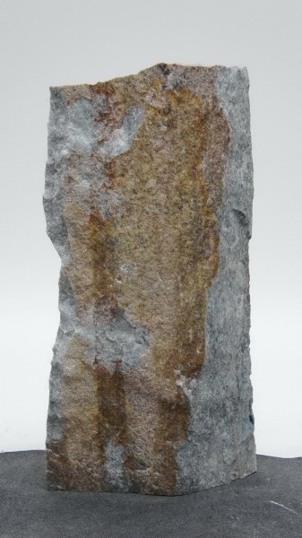 Borealis Light BLI23981