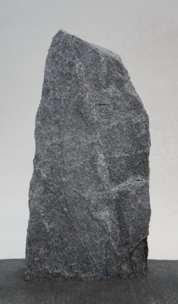 Maggia MA22120