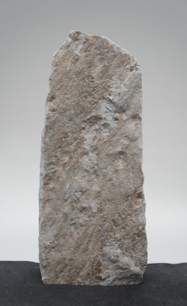 Palisander PA23353