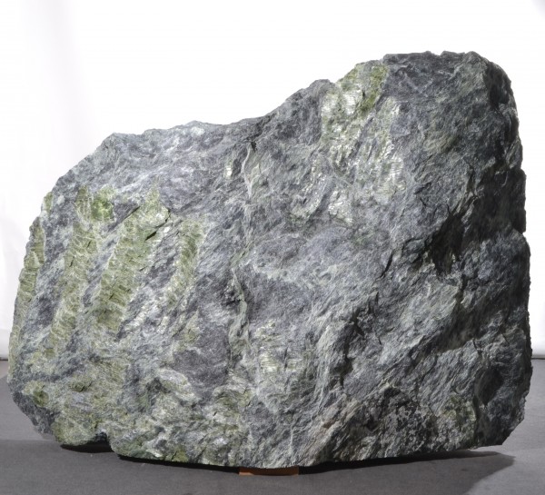 Tauerngrün TG15512