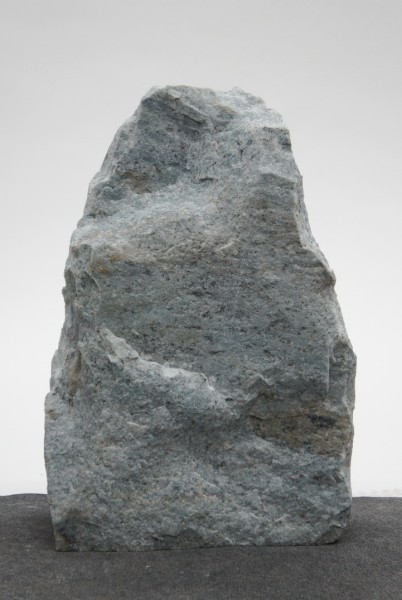 Borealis Light BLI22423