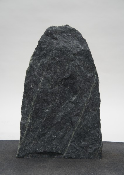 Tauerngrün TG22360