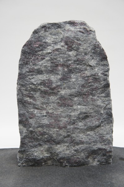 Amadeus AM23212