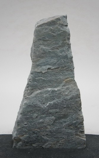Borealis Light BLI24210
