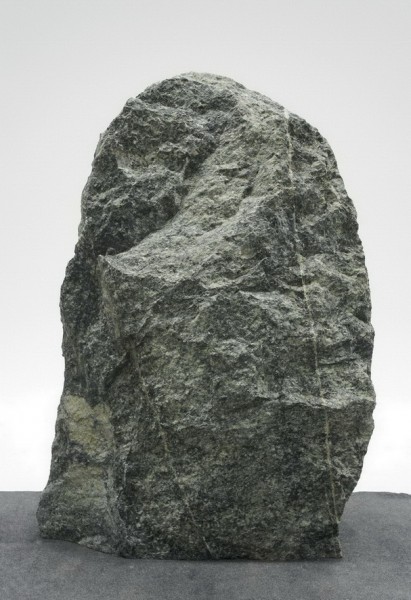 Tauerngrün TG15894