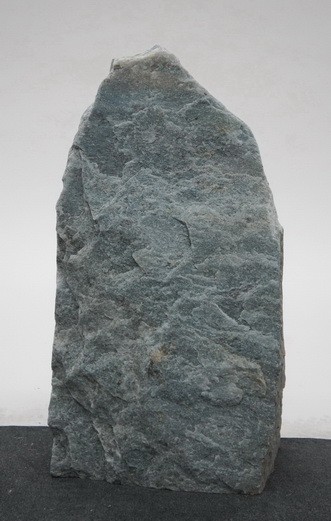 Borealis Light BLI24235