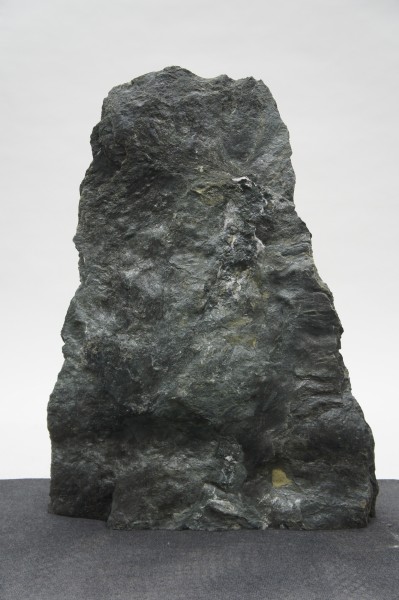 Dorfergrün DO23317