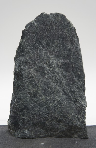 Tauerngrün TG21905