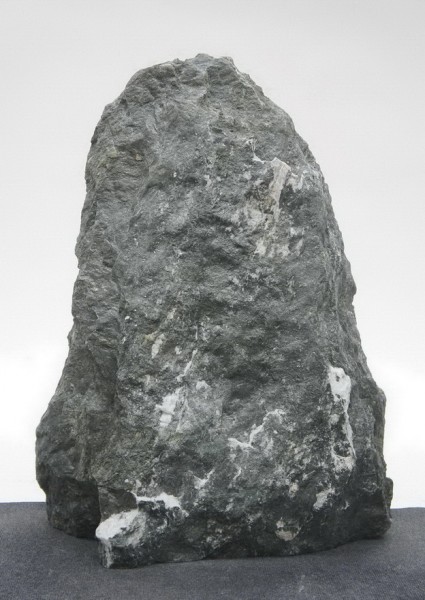 Dorfergrün DO23054