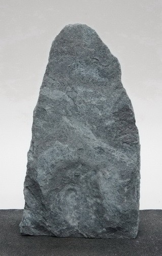 Borealis Light BLI23643