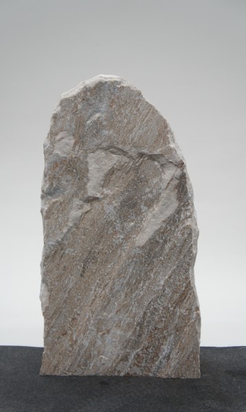 Palisander PA23328