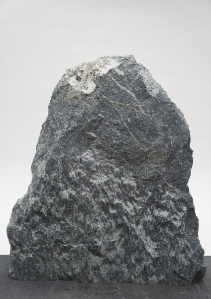Tauerngrün TG23311