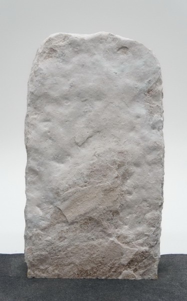 Palisander PA23947