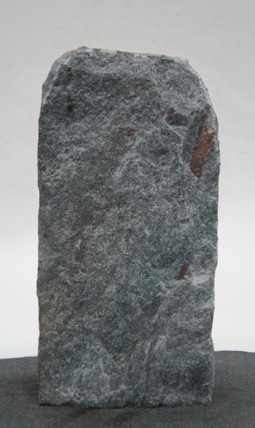 Borealis Light BLI22496