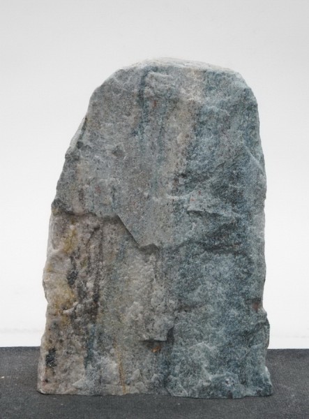 Borealis Light BLI23011