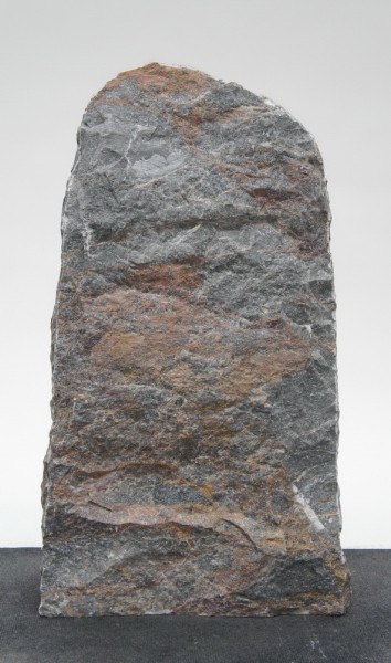 Salome SA22891