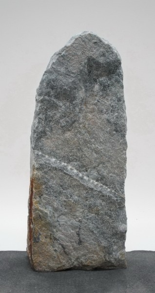 Borealis Light BLI23995