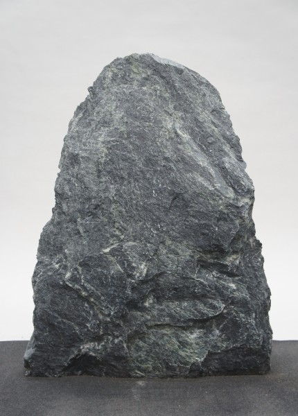 Tauerngrün TG23278