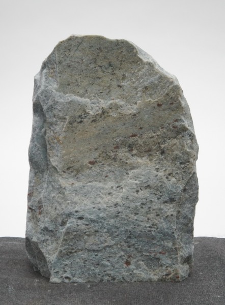 Borealis Light BLI22419