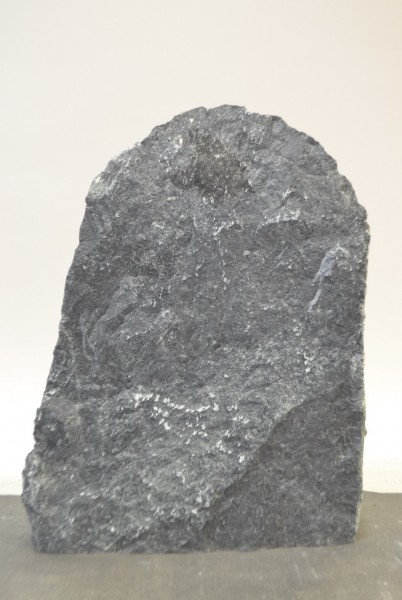 Tauerngrün TG19426