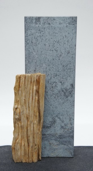 BLI 22265