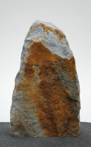 Borealis Light BLI22223