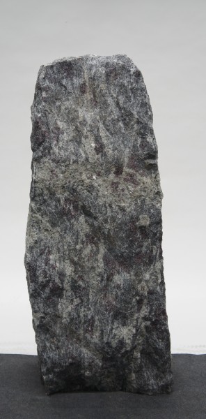 Amadeus AM23231
