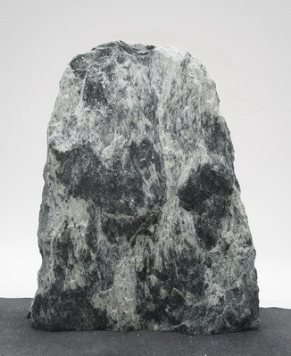 Tauerngrün TG24109-Copy
