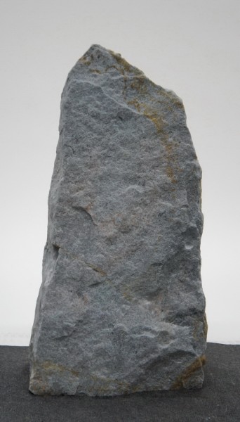 Borealis Light BLI22218