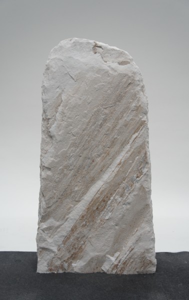 Palisander PA23348