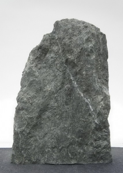 Dorfergrün DO23058