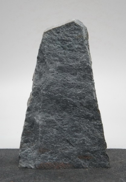 Borealis Light BLI22441