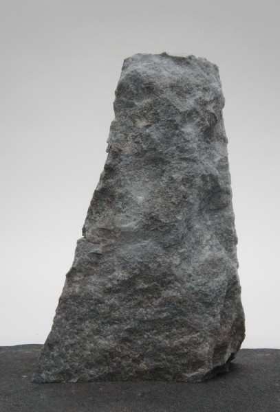 Borealis Light BLI22414