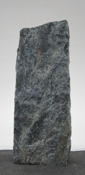 Borealis Light BLI22427