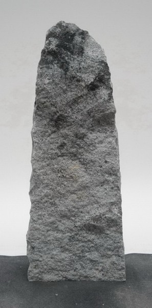 Schwedisch Silber SS23561