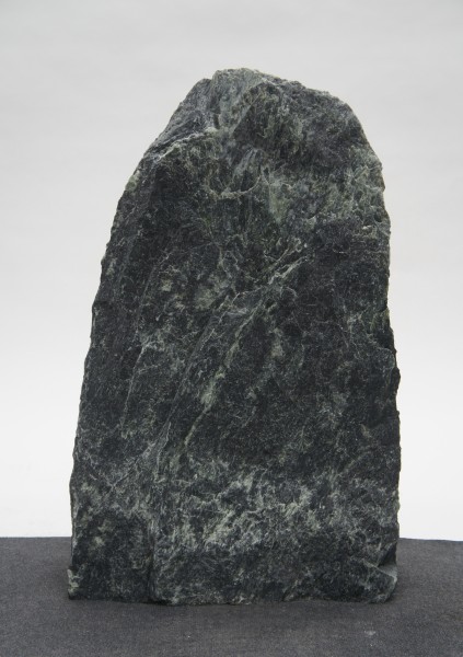 Tauerngrün TG21552