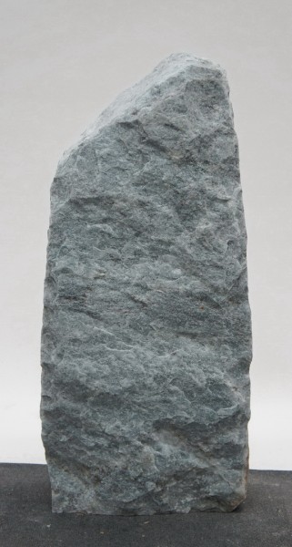 Borealis Light BLI23392