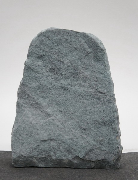 Borealis Light BLI22430