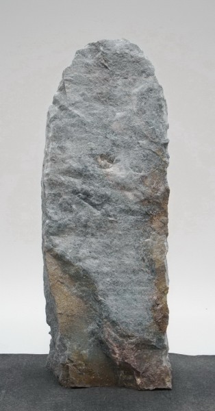 Borealis Light BLI23994