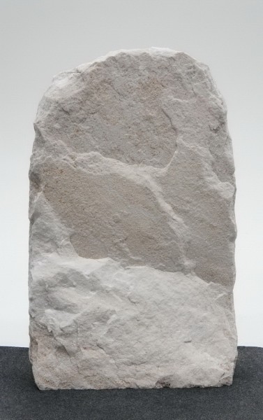 Palisander PA23946