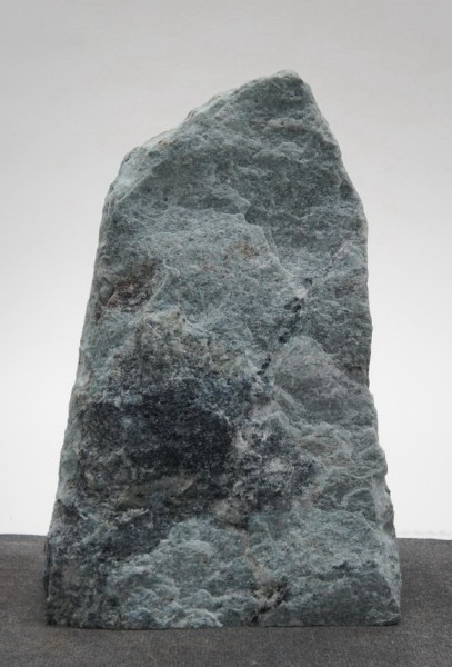 Borealis Light BLI22416