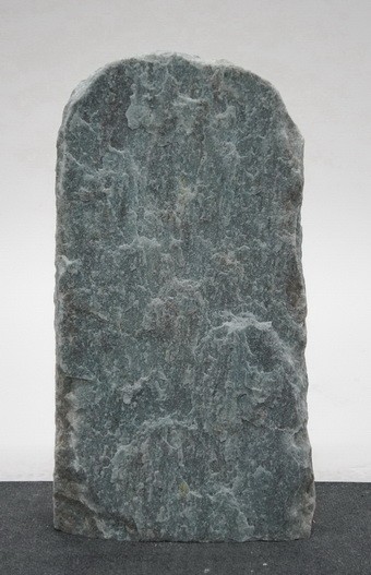 Borealis Light BLI24223