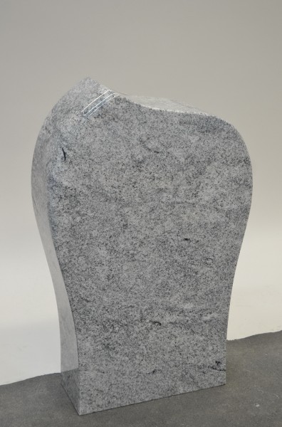 U280 Edition Wachstum