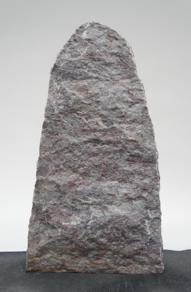 Salome SA22898
