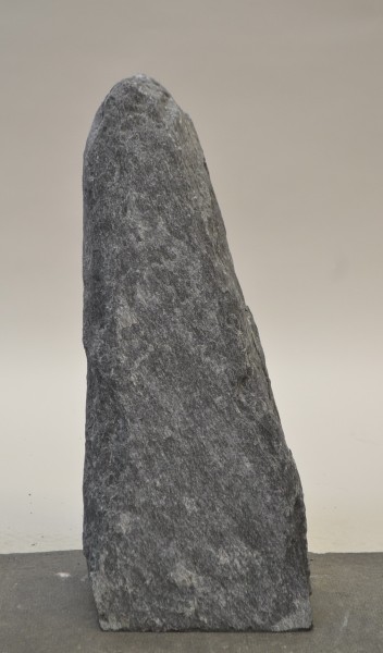 Bleu des Alpes BLA18636