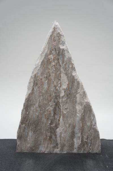 Palisander PA23352