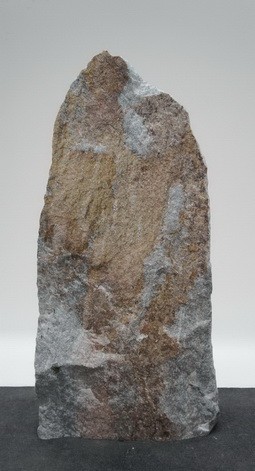 Borealis Light BLI24201
