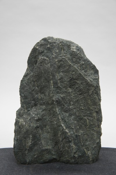 Dorfergrün DO23319