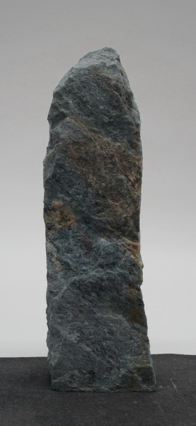 Borealis Light BLI22608